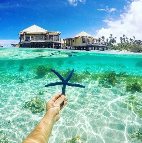 Скриншот 2017-04-25 11.54.52.png