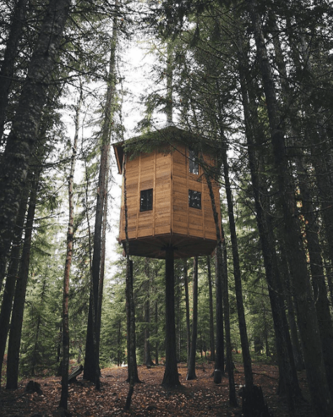 Скриншот 2017-04-25 17.39.26