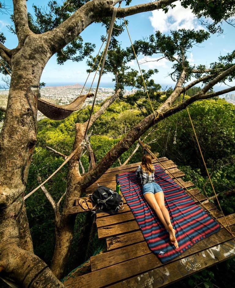 13183400_1740018549574913_863960746_n