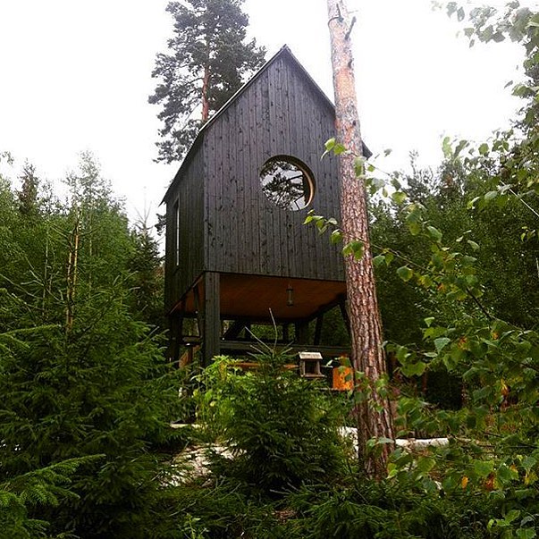 15875706_752369814914737_4066359569952014336_n