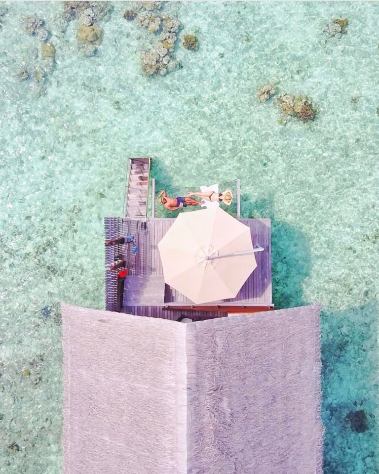 16110643_1841469459467505_7511277083440447488_n