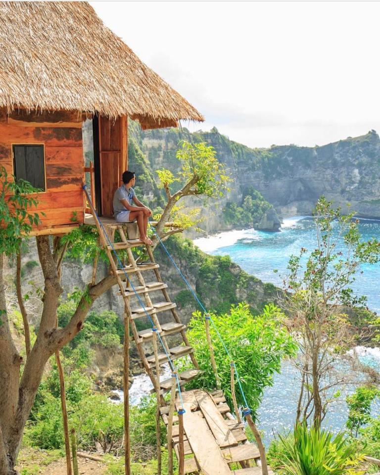 17662598_423930327969098_4578662689198309376_n