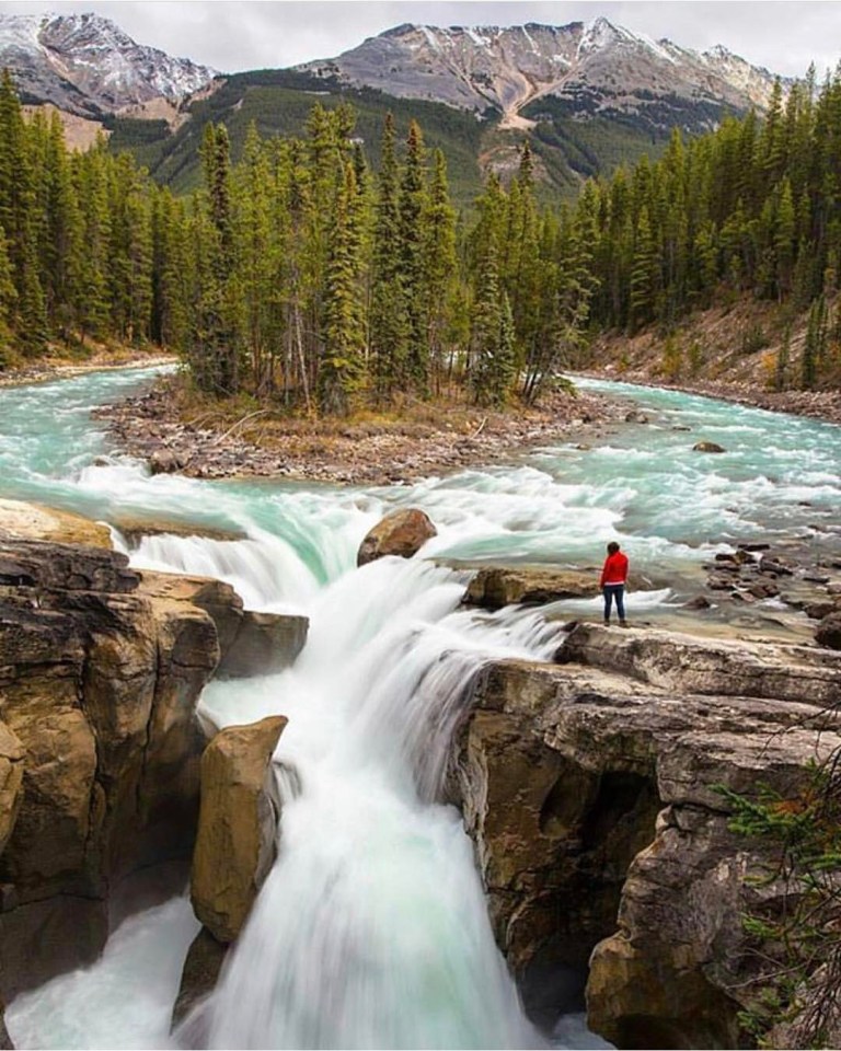 18444453_1885480241711962_3280924216039309312_n