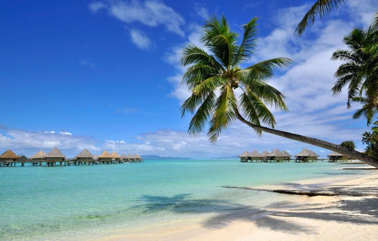 beach-beach-beachfront-coast