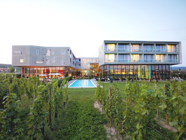 original_Loisium-01-Weingarten