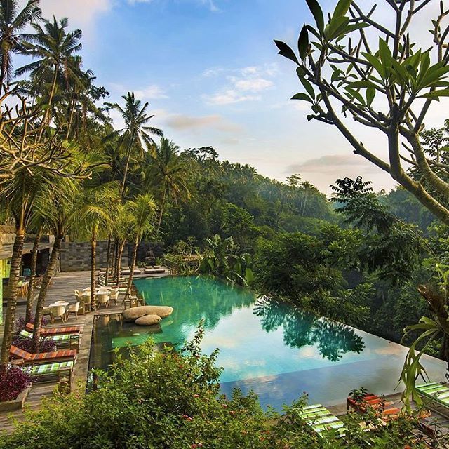 Jungle Fish Bar, Bali Photo by @theworldinterior