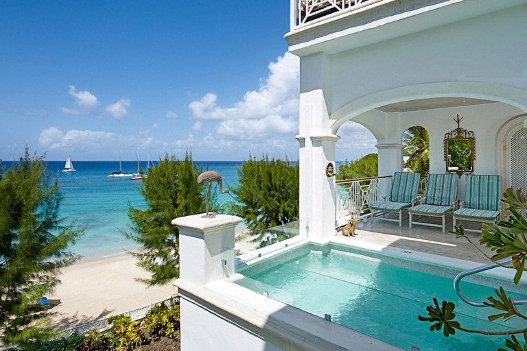 barbados_oldtrees201_01