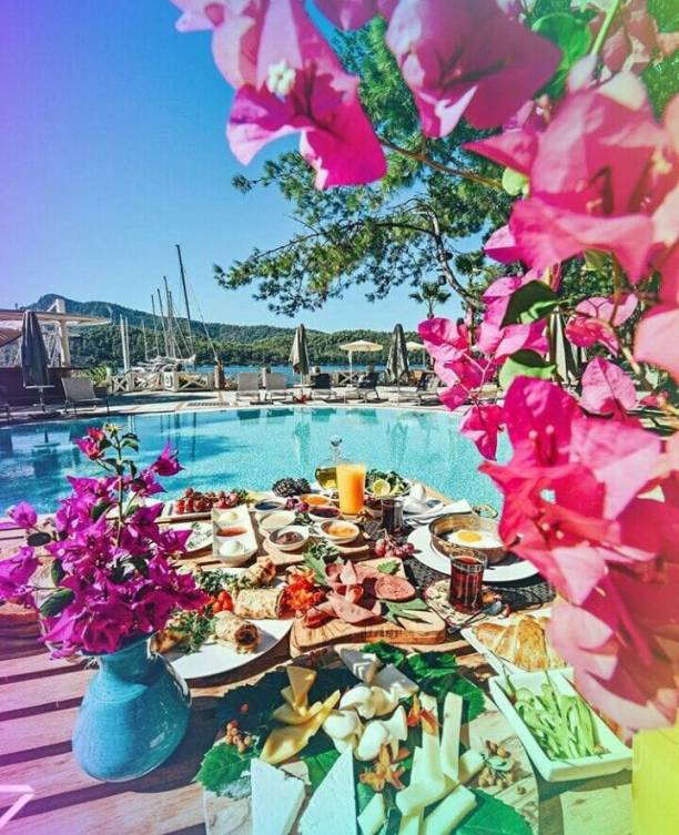 32927723_584897931879471_3884688006723928064_n