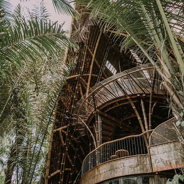 Bamboo villa